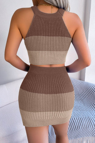 Color Block Sleeveless Crop Knit Top and Skirt Set Trendsi