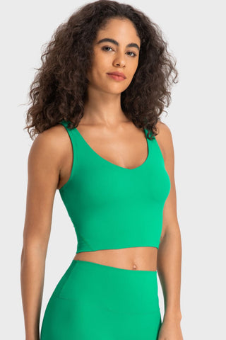 Millennia Deep V-Neck Crop Sports Bra Trendsi