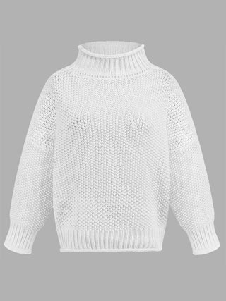 Turtleneck Long Sleeve Sweater Divacious