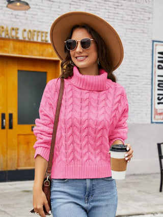 Turtle Neck Cable-Knit Sweater Divacious