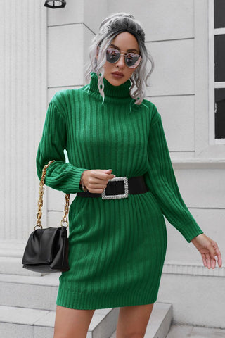 Ribbed Turtle Neck Long Sleeve Mini Sweater Dress Divacious