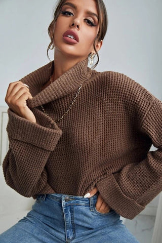 Turtleneck Long Sleeve Sweater Divacious