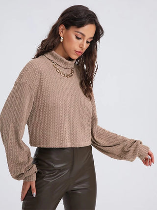 Turtleneck Long Sleeve Top Divacious