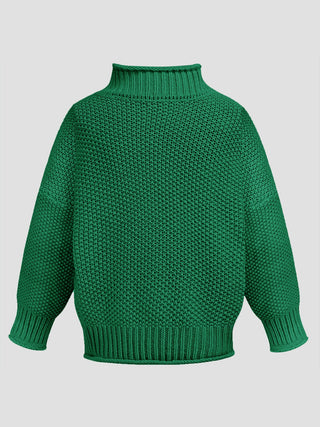 Turtleneck Long Sleeve Sweater Divacious