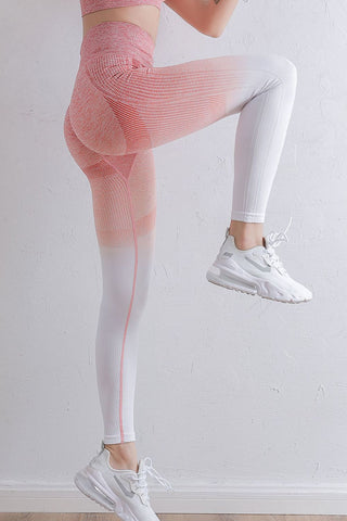 Gradient High Waist Sports Leggings Trendsi