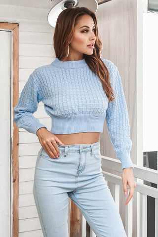 Round Neck Long Sleeve Cropped Sweater Divacious