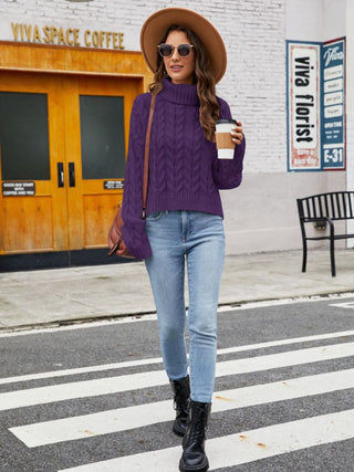 Turtle Neck Cable-Knit Sweater Divacious