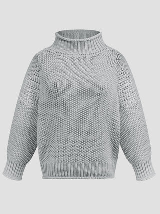 Turtleneck Long Sleeve Sweater Divacious