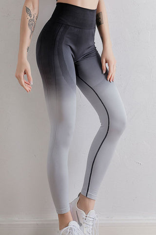 Gradient High Waist Sports Leggings Trendsi