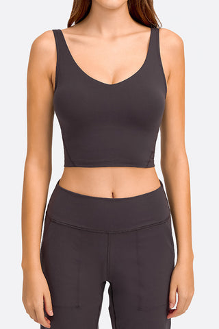 Millennia Deep V-Neck Crop Sports Bra Trendsi