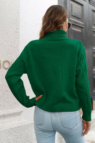 Turtleneck Long Sleeve Sweater Divacious