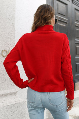 Turtleneck Long Sleeve Sweater Divacious