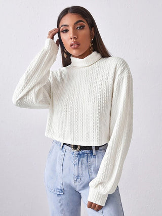 Turtleneck Long Sleeve Top Divacious