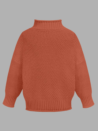 Turtleneck Long Sleeve Sweater Divacious