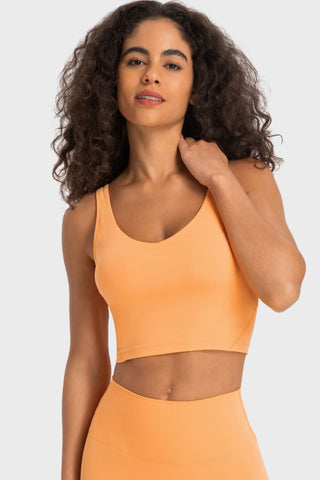 Millennia Deep V-Neck Crop Sports Bra Trendsi