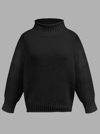 Turtleneck Long Sleeve Sweater Divacious