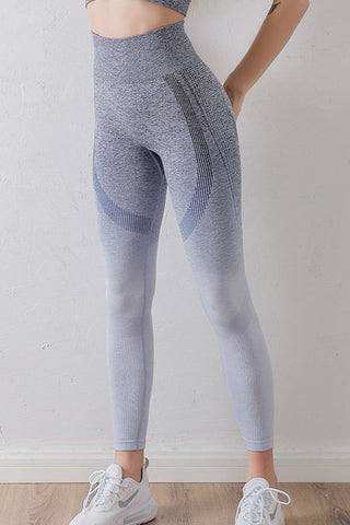 Gradient High Waist Sports Leggings Trendsi