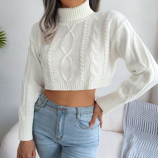 Mixed Knit Turtleneck Cropped Sweater Divacious