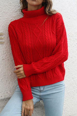 Turtleneck Long Sleeve Sweater Divacious