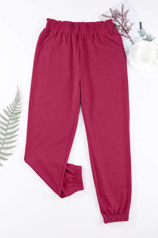 Elastic Waist Joggers Divacious