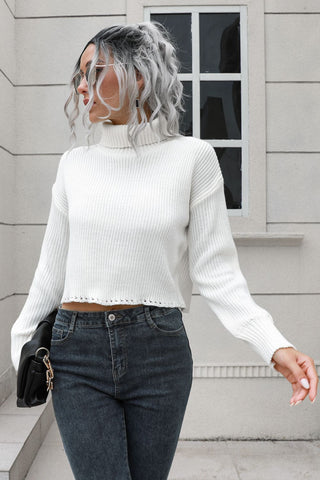 Turtleneck Dropped Shoulder Sweater Divacious