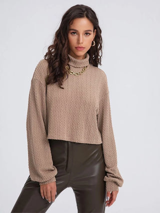 Turtleneck Long Sleeve Top Divacious