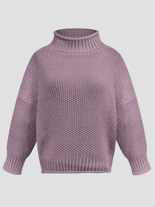 Turtleneck Long Sleeve Sweater Divacious