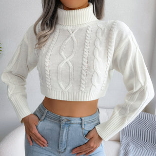 Mixed Knit Turtleneck Cropped Sweater Divacious