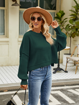 Round Neck Lantern Sleeve Sweater Divacious