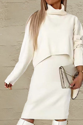 Turtleneck Dropped Shoulder Sweater and Midi Dress Sweater Set Trendsi