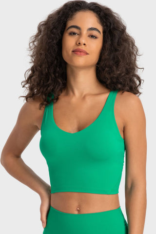 Millennia Deep V-Neck Crop Sports Bra Trendsi