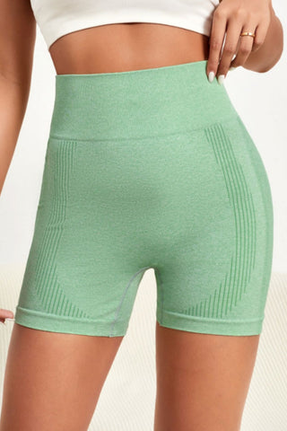 Wide Waistband Slim Fit Active Shorts Divacious