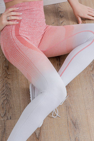 Gradient High Waist Sports Leggings Trendsi