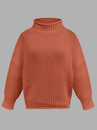 Turtleneck Long Sleeve Sweater Divacious